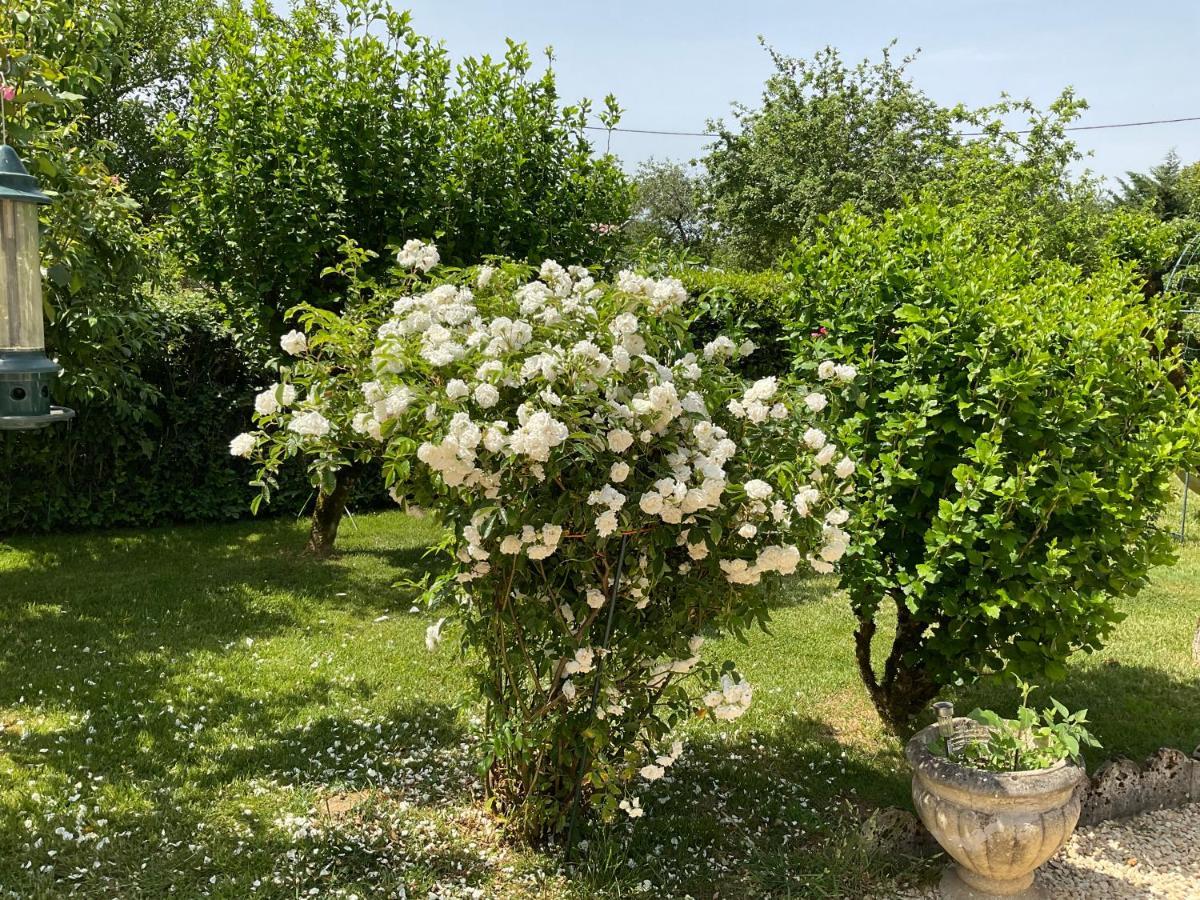 مبيت وإفطار Le Jardin De Rose 24 Feuillebert Romagne 86700 المظهر الخارجي الصورة